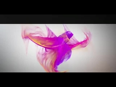 Introducción de la fábrica